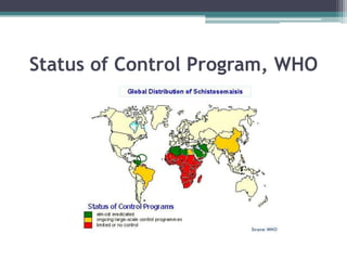Status of Control Program, WHO
 