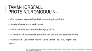 TAMM-HORSFALL
PROTEIN/UROMODULIN -
 Glycoprotein secreted by thick ascending loop (TAL)
 Matrix of renal casts and stones
 Protective role in acute tubular injury (ATI)
 Estimation of uromodulin (in urine and serum) and severity of ATI
 Uromodulin: Creatinine ratio in urine (lower the ratio, higher the
injury)
Opal SM. Innate Immunity and the Kidney. In: Editor(s): Ronco C, Bellomo R, Kellum JA, Ricci Z. Critical Care Nephrology. 3rd Edition. New
York: Elsevier; 2019. p. 476-82.
 