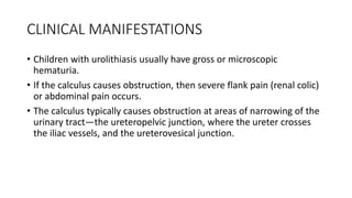 CLINICAL MANIFESTATIONS
• Children with urolithiasis usually have gross or microscopic
hematuria.
• If the calculus causes...