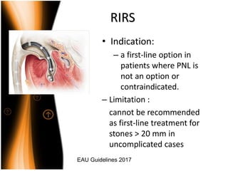 Urinary Stone Management and Infection.pptx