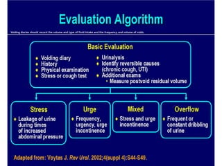 Voiding diaries should record the volume and type of fluid intake and the frequency and volume of voids.
 
