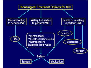 Urinary STRESS Incontinence Copy.pdf