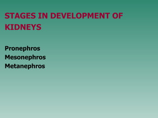 STAGES IN DEVELOPMENT OF KIDNEYS P ro nephros M eso nephros M etanephros