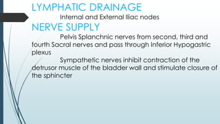 LYMPHATIC DRAINAGE
Internal and External Iliac nodes
NERVE SUPPLY
Pelvis Splanchnic nerves from second, third and
fourth Sacral nerves and pass through Inferior Hypogastric
plexus
Sympathetic nerves inhibit contraction of the
detrusor muscle of the bladder wall and stimulate closure of
the sphincter
 