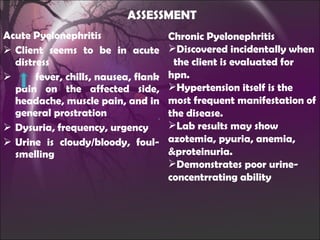 Acute Pyelonephritis Client seems to be in acute distress fever, chills, nausea, flank pain on the affected side, headache, muscle pain, and in general prostration Dysuria, frequency, urgency Urine is cloudy/bloody, foul-smelling ASSESSMENT Chronic Pyelonephritis Discovered incidentally when  the client is evaluated for hpn. Hypertension itself is the most frequent manifestation of the disease. Lab results may show azotemia, pyuria, anemia, &proteinuria. Demonstrates poor urine-concentrrating ability 