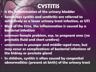 CYSTITIS Is the  inflammation of the urinary bladder Sometimes cystitis and urethritis are referred to collectively as a lower urinary tract infection, or UTI Most of the time, the inflammation is caused by a bacterial infection common female problem, esp. to pregnant ones (no prostatic fluid and short urethra) uncommon in younger and middle-aged men, but may occur as complications of bacterial infections of the kidney or prostate gland In children, cystitis is often caused by congenital abnormalities (present at birth) of the urinary tract 