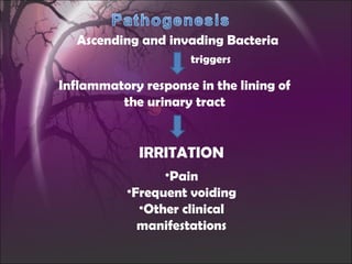 Ascending and invading Bacteria Inflammatory response in the lining of the urinary tract triggers IRRITATION Pain Frequent voiding Other clinical manifestations 