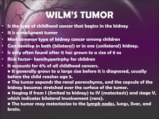 WILM’S TUMOR Is the type of childhood cancer that begins in the kidney It is a malignant tumor Most common type of kidney cancer among children  Can develop in both (bilateral) or in one (unilateral) kidney. Is only often found after it has grown to a size of 8 oz Risk factor- hemihypertrphy for children It accounts for 6% of all childhood cancers. • It generally grows to a large size before it is diagnosed, usually before the child reaches age 5. • The tumor expands the renal parenchyma, and the capsule of the kidney becomes stretched over the surface of the tumor. • Staging if from I (limited to kidney) to IV (matastasis) and stage V, which indicates bilateral involvement (rare). • The tumor may metastasize to the  lymph nodes , lungs, liver, and brain. 