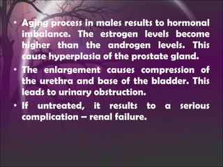 Aging process in males results to hormonal imbalance . The estrogen levels become higher than the androgen levels. This cause hyperplasia of the prostate gland. The enlargement causes compression of the urethra and base of the bladder. This leads to urinary obstruction. If untreated, it results to a serious complication –  renal failure . 