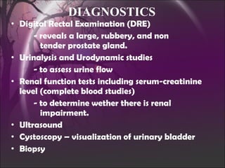DIAGNOSTICS Digital Rectal Examination (DRE) - reveals a large, rubbery, and non    tender prostate gland. Urinalysis and Urodynamic studies - to assess urine flow Renal function tests including serum-creatinine level (complete blood studies) - to determine wether there is renal    impairment. Ultrasound Cystoscopy – visualization of urinary bladder Biopsy 