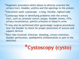 Urinary system | PPTX