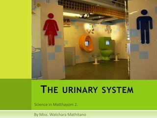 Science in Matthayom 2. The urinary system By Miss. WatcharaMathitano 
