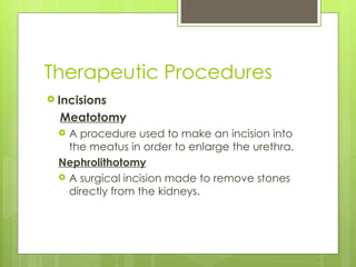 Therapeutic Procedures Incisions Meatotom y A procedure used to make an incision into the meatus in order to enlarge the urethra. Nephrolithotomy A surgical incision made to remove stones directly from the kidneys. 