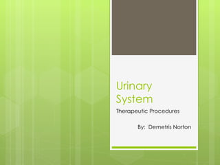 Urinary System Therapeutic Procedures By:  Demetris Norton 