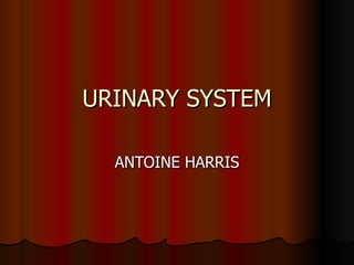 URINARY SYSTEM ANTOINE HARRIS 