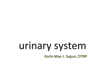 urinary system Karla Mae J. Sagun, OTRP 