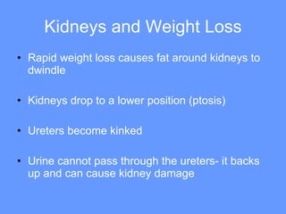 Kidneys and Weight Loss Rapid weight loss causes fat around kidneys to dwindle Kidneys drop to a lower position (ptosis) Ureters become kinked Urine cannot pass through the ureters- it backs up and can cause kidney damage 
