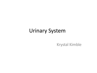 Urinary System

          Krystal Kimble
 