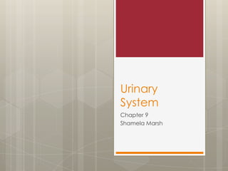 Urinary
System
Chapter 9
Shamela Marsh
 