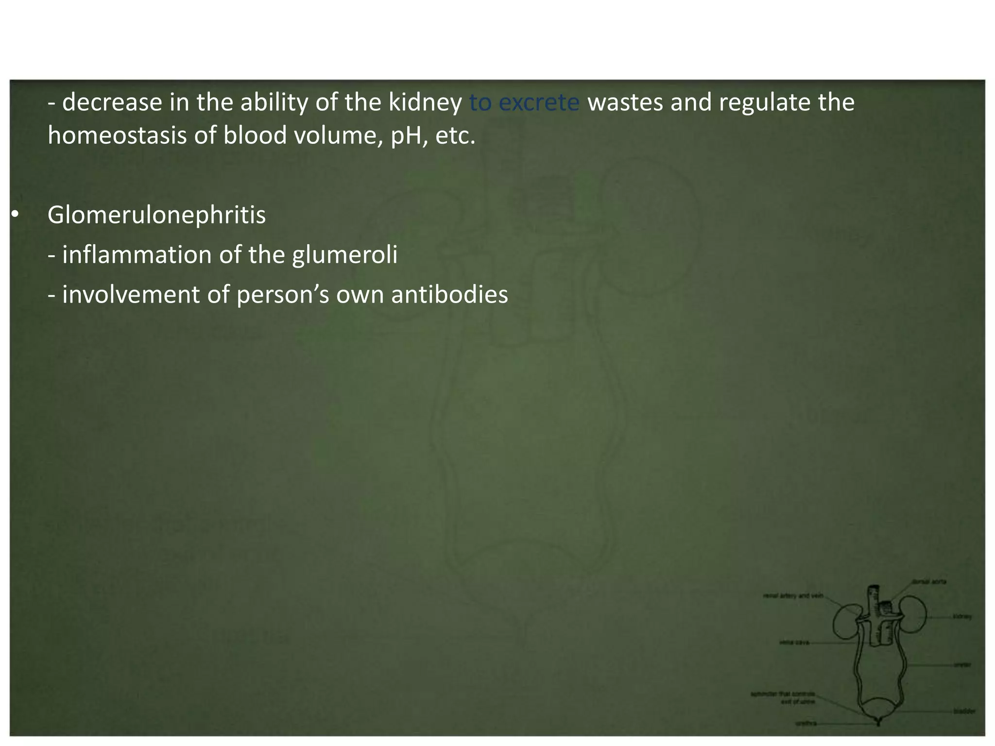 • Acute Renal Failure
  - decrease in the ability of the kidney to excrete wastes and regulate the
  homeostasis of blood volume, pH, etc.

• Glomerulonephritis
  - inflammation of the glumeroli
  - involvement of person’s own antibodies
 