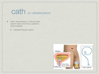 cath                (or catheterization)

Latex, polyurethane, or silicone tube
used to drain urine from a patient’s
urinary bladder

    Inserted through urethra
 