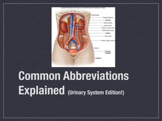 Common Abbreviations
Explained (Urinary System Edition!)
 