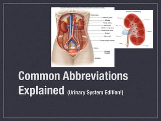 Common Abbreviations
Explained (Urinary System Edition!)
 