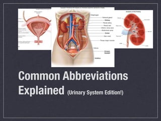 Common Abbreviations
Explained (Urinary System Edition!)
 