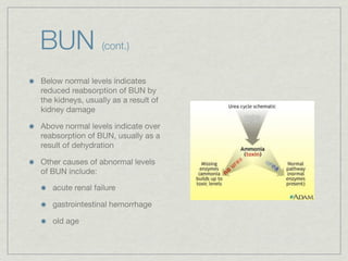 BUN               (cont.)


Below normal levels indicates
reduced reabsorption of BUN by
the kidneys, usually as a result of
kidney damage

Above normal levels indicate over
reabsorption of BUN, usually as a
result of dehydration

Other causes of abnormal levels
of BUN include:

   acute renal failure

   gastrointestinal hemorrhage

   old age
 