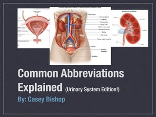Common Abbreviations
Explained (Urinary System Edition!)
By: Casey Bishop
 