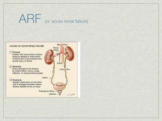 ARF   (or acute renal failure)
 