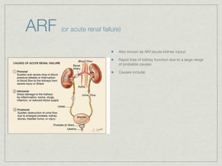 ARF   (or acute renal failure)


                             Also known as AKI (acute kidney injury)

                             Rapid loss of kidney function due to a large range
                             of probable causes

                             Causes include:
 