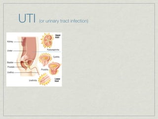UTI   (or urinary tract infection)
 