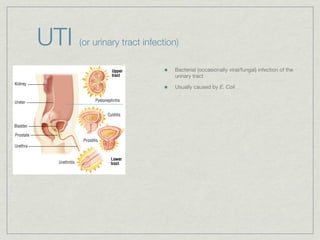 UTI   (or urinary tract infection)

                                Bacterial (occasionally viral/fungal) infection of the
                                urinary tract

                                Usually caused by E. Coli
 