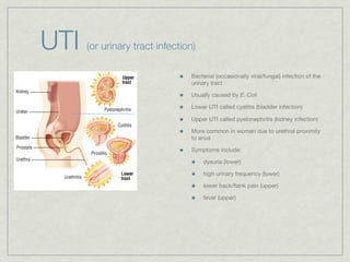 UTI   (or urinary tract infection)

                                Bacterial (occasionally viral/fungal) infection of the
                                urinary tract

                                Usually caused by E. Coli

                                Lower UTI called cystitis (bladder infection)

                                Upper UTI called pyelonephritis (kidney infection)

                                More common in woman due to urethral proximity
                                to anus

                                Symptoms include:

                                     dysuria (lower)

                                     high urinary frequency (lower)

                                     lower back/ﬂank pain (upper)

                                     fever (upper)
 