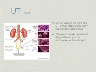 UTI   (cont.)


                50% of woman will have one
                UTI in their lifetime with many
                experiencing recurrences

                 Treatment usually consists of
                daily antibiotic such as
                nitrofuratoin or trimethoprim
 