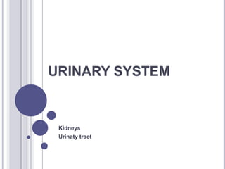URINARY SYSTEM


 Kidneys
 Urinaty tract
 