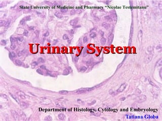 State University of Medicine and Pharmacy “Nicolae Testemitanu”




    Urinary System



         Department of Histology, Cytology and Embryology
                                             Tatiana Globa
 