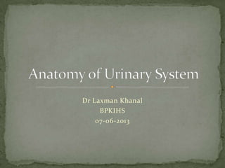 Anatomy of Urinary System
Dr Laxman Khanal
BPKIHS
07-06-2013
 