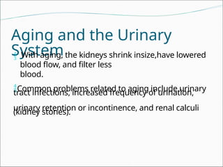 Comprehensive Overview and Functions of the Human Urinary System | PPTX
