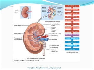 © 2013 John Wiley & Sons, Inc. All rights reserved.
 