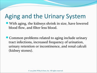 Aging and the Urinary System
With aging, the kidneys shrink in size, have lowered
blood flow, and filter less blood.
Common problems related to aging include urinary
tract infections, increased frequency of urination,
urinary retention or incontinence, and renal calculi
(kidney stones).
© 2013 John Wiley & Sons, Inc. All rights reserved.
 