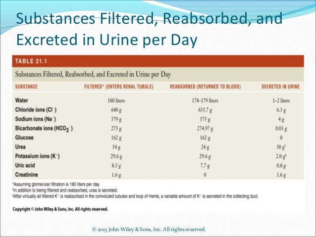 Urinary system