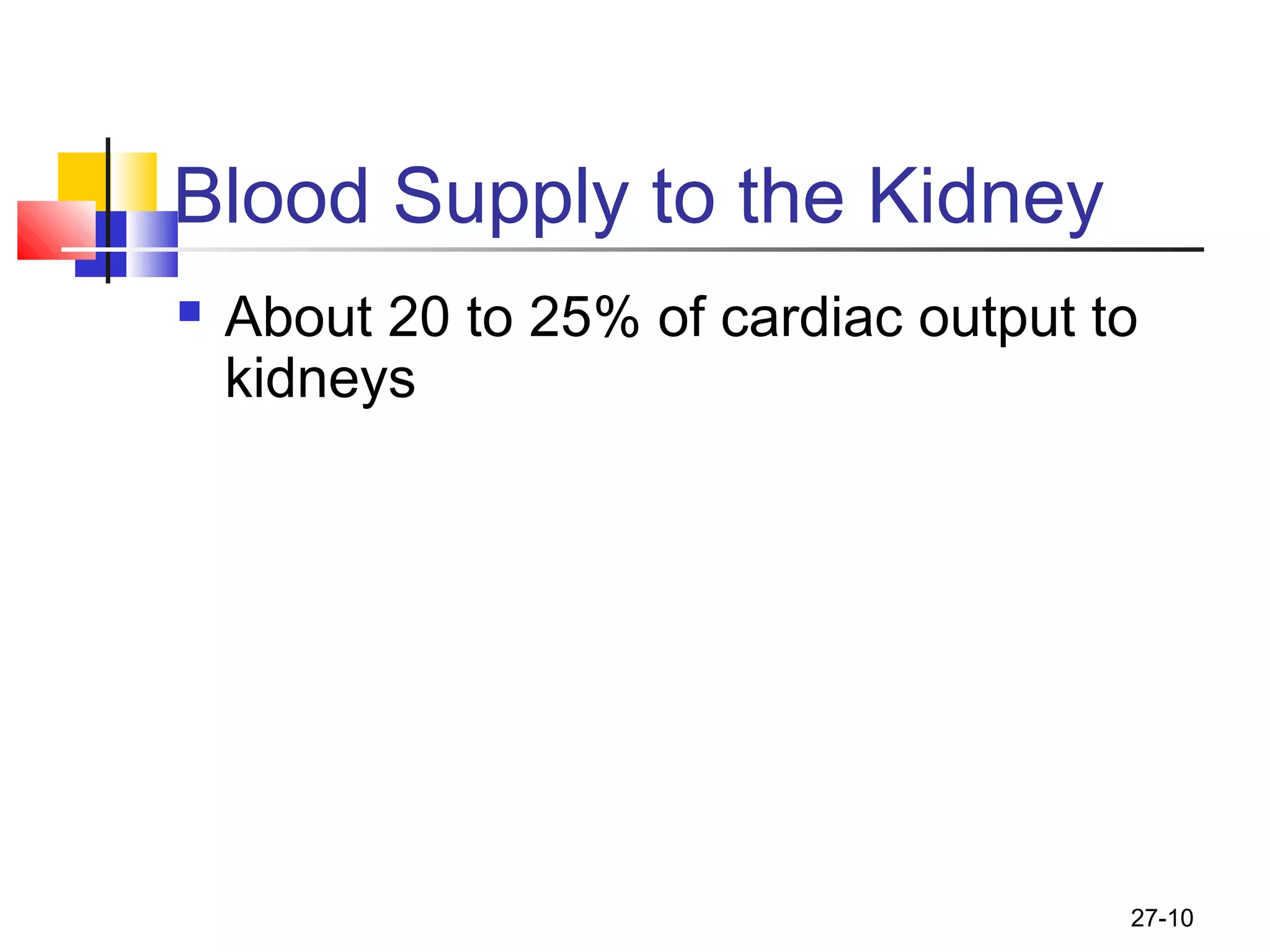 27-10
Blood Supply to the Kidney
 About 20 to 25% of cardiac output to
kidneys
 