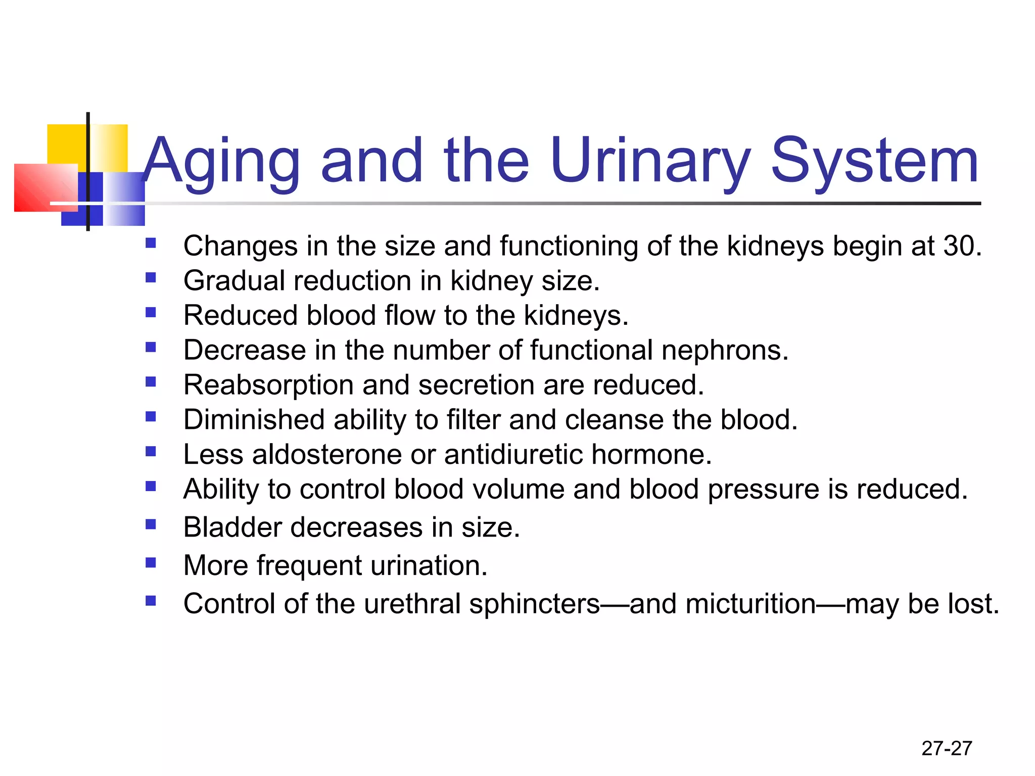27-27
Aging and the Urinary System
 Changes in the size and functioning of the kidneys begin at 30.
 Gradual reduction in kidney size.
 Reduced blood flow to the kidneys.
 Decrease in the number of functional nephrons.
 Reabsorption and secretion are reduced.
 Diminished ability to filter and cleanse the blood.
 Less aldosterone or antidiuretic hormone.
 Ability to control blood volume and blood pressure is reduced.
 Bladder decreases in size.
 More frequent urination.
 Control of the urethral sphincters—and micturition—may be lost.
 