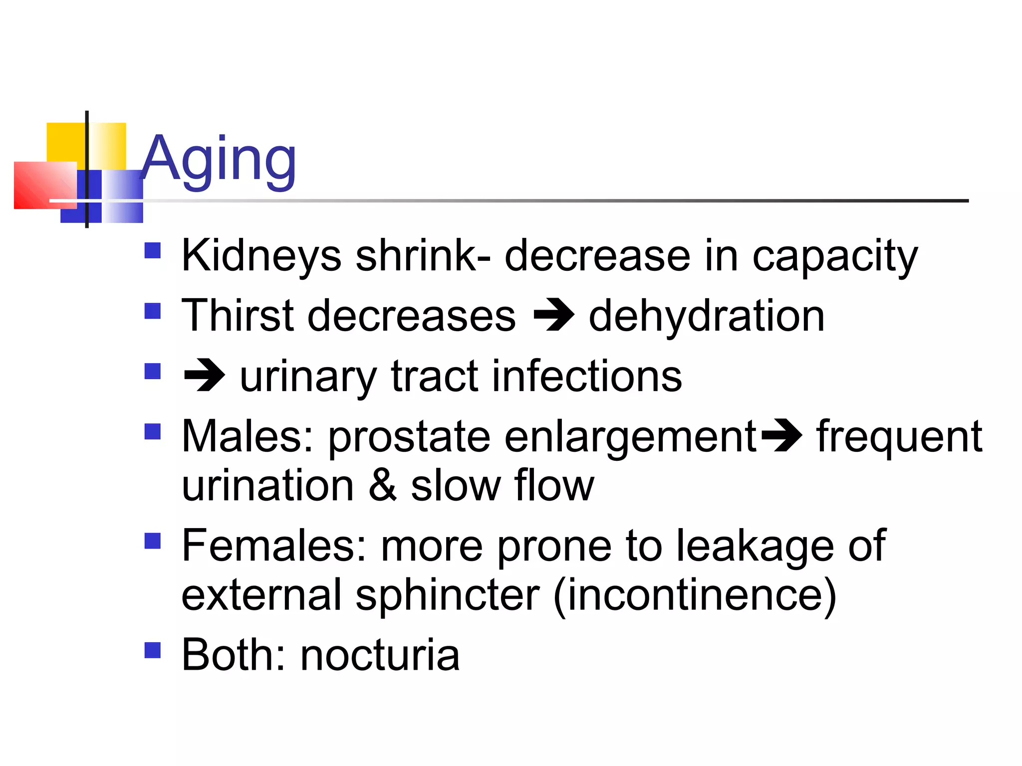 Aging
 Kidneys shrink- decrease in capacity
 Thirst decreases  dehydration
  urinary tract infections
 Males: prostate enlargement frequent
urination & slow flow
 Females: more prone to leakage of
external sphincter (incontinence)
 Both: nocturia
 