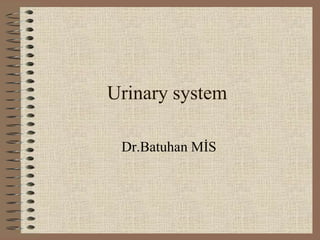 Urinary system
Dr.Batuhan MİS
 
