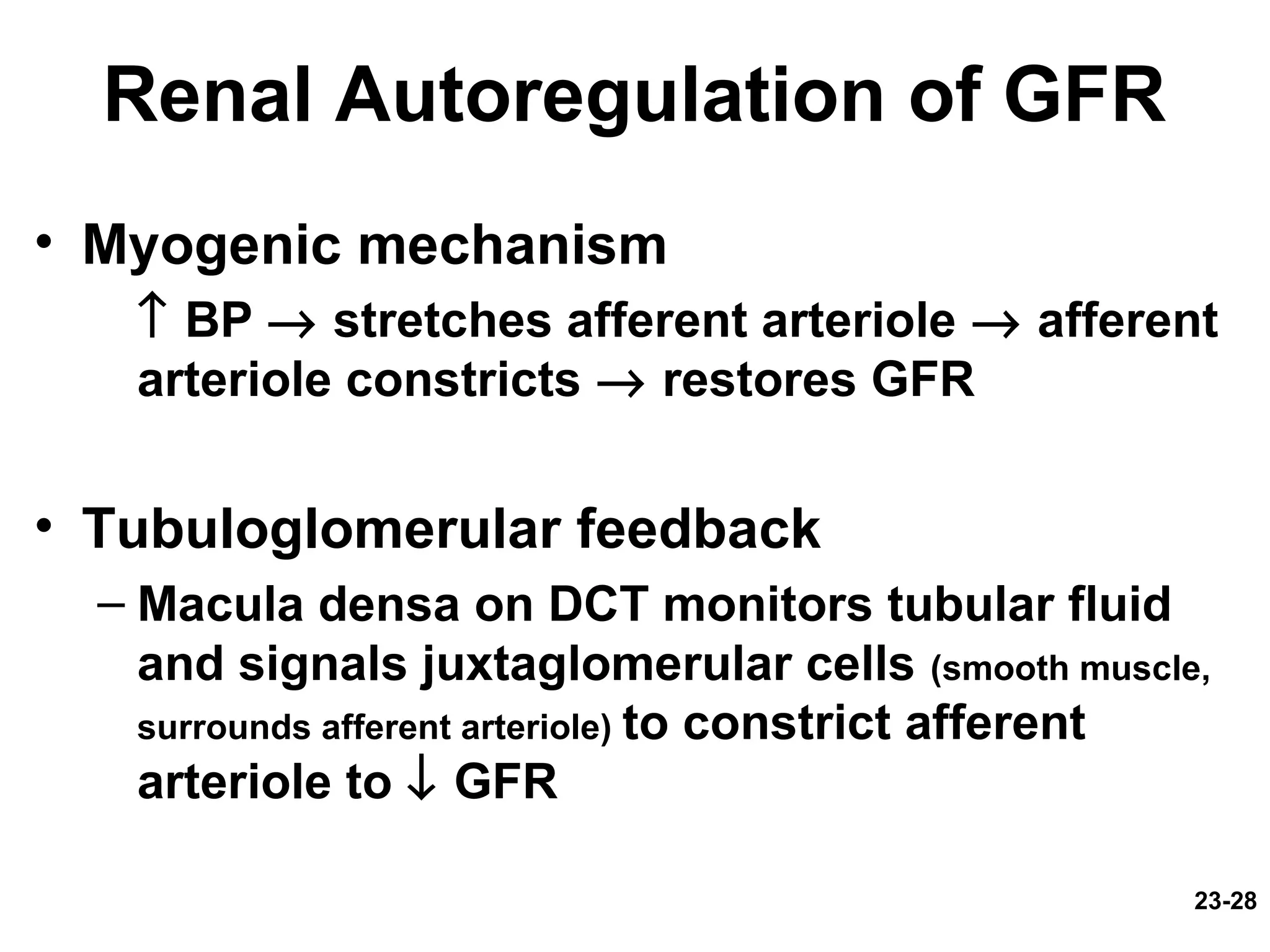 23-28
Renal Autoregulation of GFR
• Myogenic mechanism
↑ BP → stretches afferent arteriole → afferent
arteriole constricts → restores GFR
• Tubuloglomerular feedback
– Macula densa on DCT monitors tubular fluid
and signals juxtaglomerular cells (smooth muscle,
surrounds afferent arteriole) to constrict afferent
arteriole to ↓ GFR
 