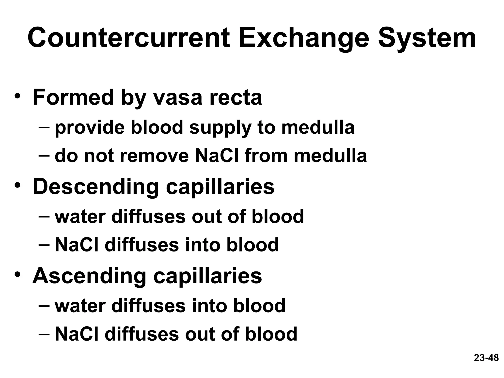 23-48
Countercurrent Exchange System
• Formed by vasa recta
– provide blood supply to medulla
– do not remove NaCl from medulla
• Descending capillaries
– water diffuses out of blood
– NaCl diffuses into blood
• Ascending capillaries
– water diffuses into blood
– NaCl diffuses out of blood
 