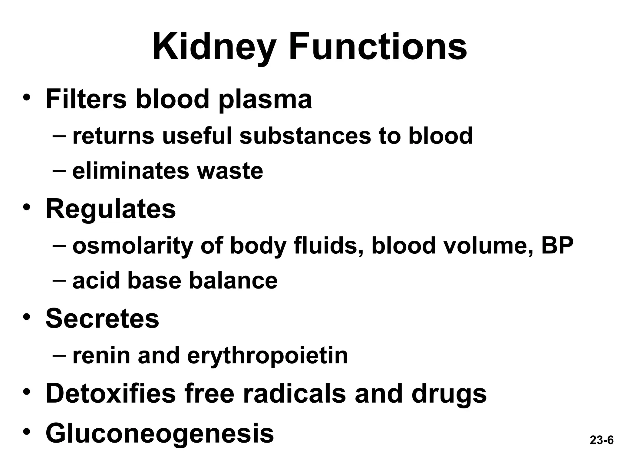 23-6
Kidney Functions
• Filters blood plasma
– returns useful substances to blood
– eliminates waste
• Regulates
– osmolarity of body fluids, blood volume, BP
– acid base balance
• Secretes
– renin and erythropoietin
• Detoxifies free radicals and drugs
• Gluconeogenesis
 